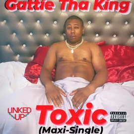 Toxic (Radio Edit) Gattie Tha King