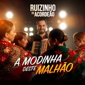 A Modinha Deste Malhão artwork