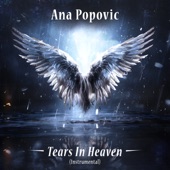 Ana Popovic - Tears In Heaven - Instrumental