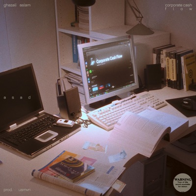 corporate cash flow - Single