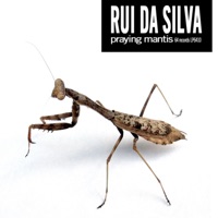 Praying Mantis - Rui Da Silva