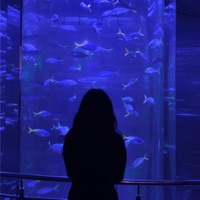 Never - Single - BLESSED MANE