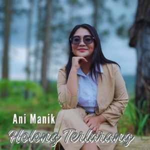 Chord Gitar Holong Terlarang - Ani Manik