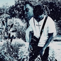 Juice (feat. Auto32 & 46dots) - Single - Maxwell2icee