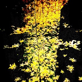 Secteur (feat. Redhead) Django De Cayenne