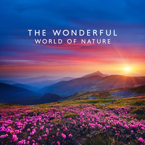 The Wonderful World of Nature: Yoga & Inner Contemplation, Ambient Harmony, Meditation Music Zone