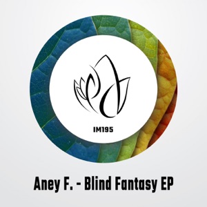 Blind Fantasy - Single