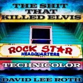 The Shit That Killed Elvis (Technicolor) artwork