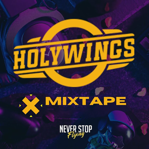 Holywings© ホーリーウィングス About Us - Holywings | Get to Know About Our Company and Our