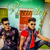 Parindey - Sumit Goswami