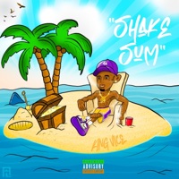 Shake Sum - Single - King Vice