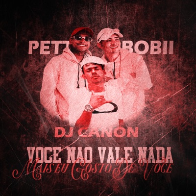 Você Não Vale Nada Mais Eu Gosto de Você (feat. MC\'S Pett e Bobii) - Single