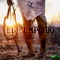 El Cumplido - Grupo Revoltura lyrics