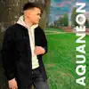 AQUANEON - Нам не надо