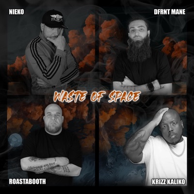 Waste of Space (feat. Krizz Kaliko) - Single
