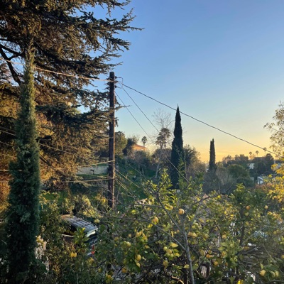 Dreaming By the Lemon Tree - Single