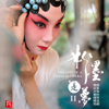 Dreams Of An Chinese Opera 2 (Opera aria instrumental performance) - Various Artists