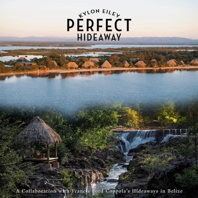 Perfect Hideaway - Single