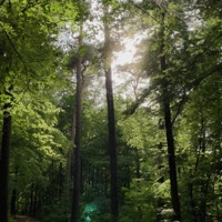 Headspace - Single - Sebastian Jautschus