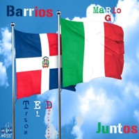 Barrios Juntos (feat. Mario G) - Single - Tyson El Dominicano