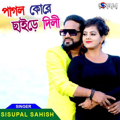 Pagol Kore chhade Dili - Single