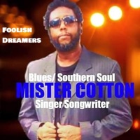 Foolish Dreamers - Single - Mister Cotton