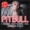 I Know You Want Me (Calle Ocho) - Pitbull lyrics