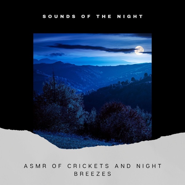 ASMR of Crickets and Night Breezes