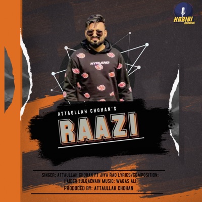 RAAZI (feat. Jiya Rao) - Single