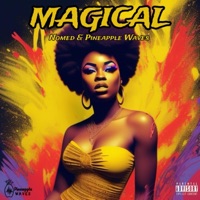 Magical (feat. Nomed) - Single - Pineapple Waves