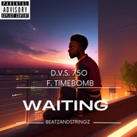 Waiting - Single - D.V.S. 750