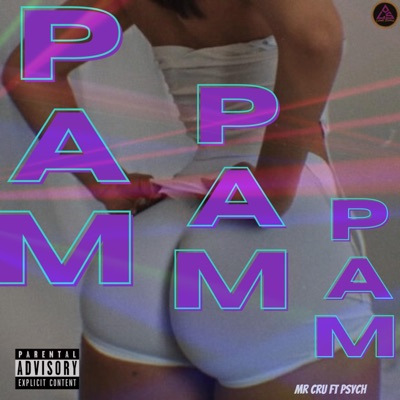 Pam Pam Pam (feat. Psych) - Single