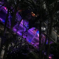 Okay Fine - Single - NC