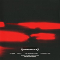 Irreparable (feat. Dewey, Morgan Mowinski & Mazerati Roc) - Single - D.Higgs