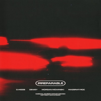 Irreparable (feat. Dewey, Morgan Mowinski & Mazerati Roc) - Single