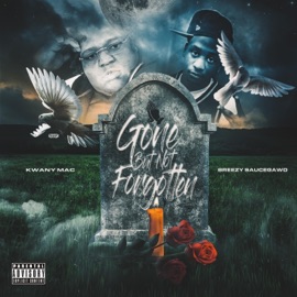 Sky Is the Limit (feat. Elgin & Rosey) Breezy SauceGawd & Kwany Mac
