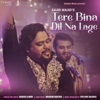 Tere Bina Dil Na Lage - Single - Danish Sabri