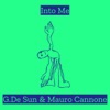 Into Me - Single