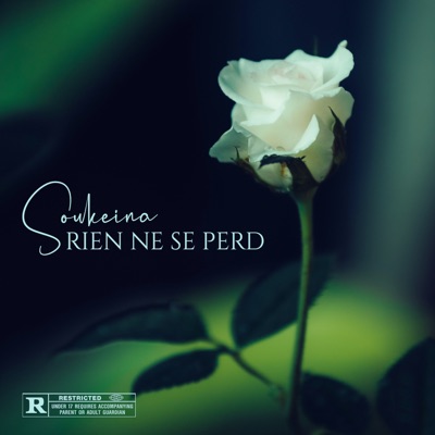 Rien ne se perd - Single