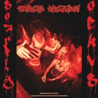 Open Heads - Single - SCARFLY & Cekvs