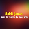 Zaan Ta Taweez Da Nazar Waka - Single