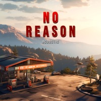 No Reason (Acoustic) - Single - Thomas Geelens