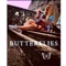 Butterflies artwork