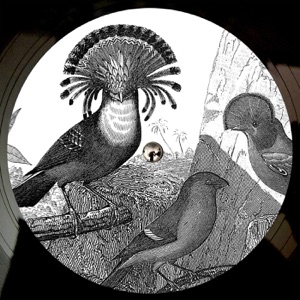 Anna Lunoe & Friends - EP