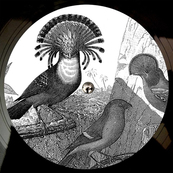 Anna Lunoe & Friends - EP