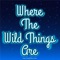 Where the Wild Things Are (feat. Blake Combs) - Austin Luke lyrics