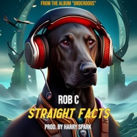 Straight Facts - Single - Rob C & Harry Spark