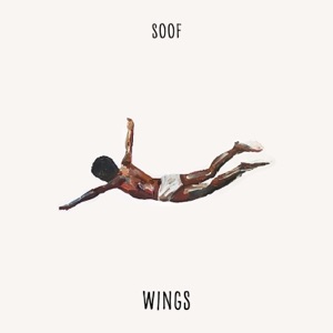 Clipped Wings (Kunal Merchant Remix)
