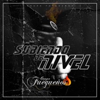 Subiendo de nivel - Single - Grupo Fuegueños