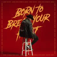 Born To Break Your Heart